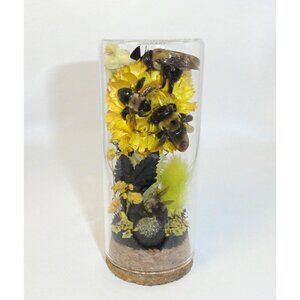 Carpenter Bee Fool's Gold & Flowers Oddity Jar insect taxidermy curiosity goth